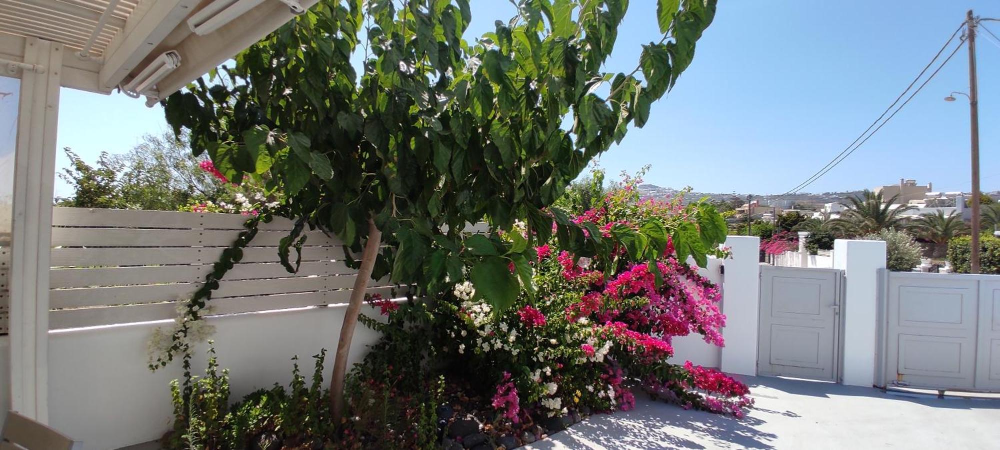 Jb Villa (Adults Only) Mesaria Dış mekan fotoğraf